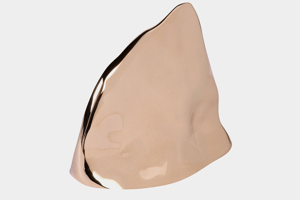 Large Fin